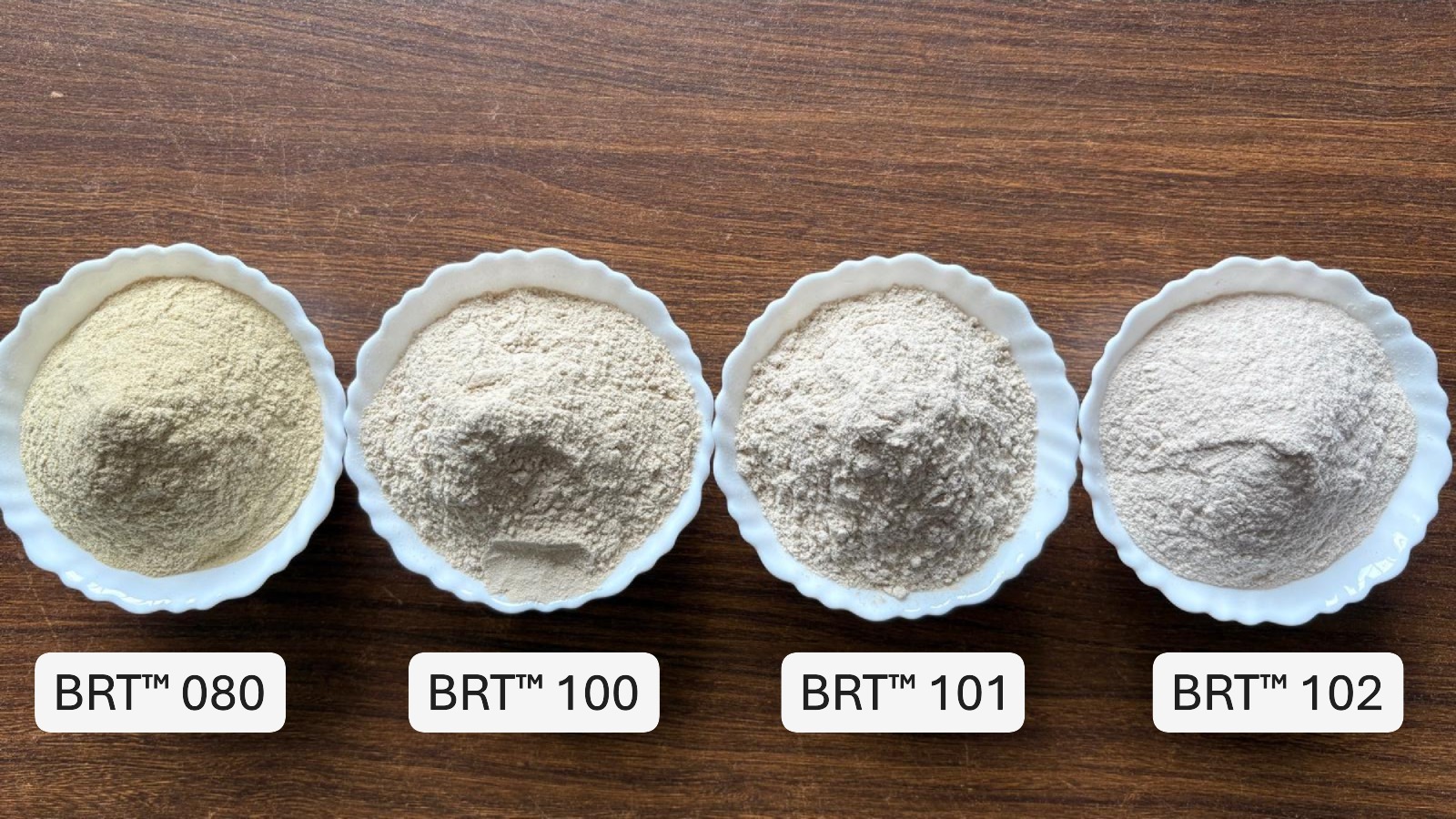Cassia Gum e427 Powder & Gel Form