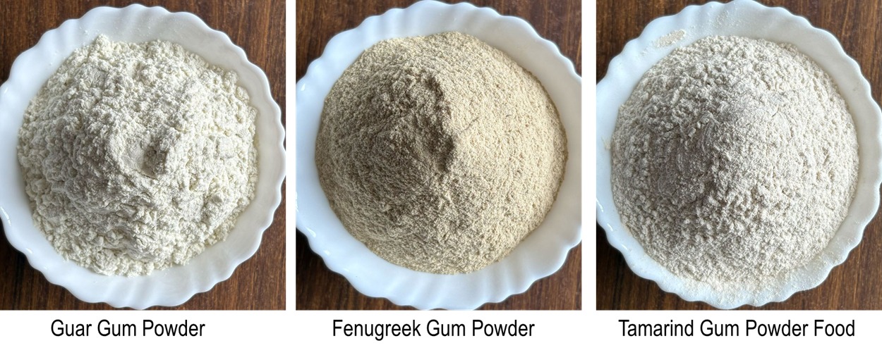 Rapeseed Meal Manufacturer